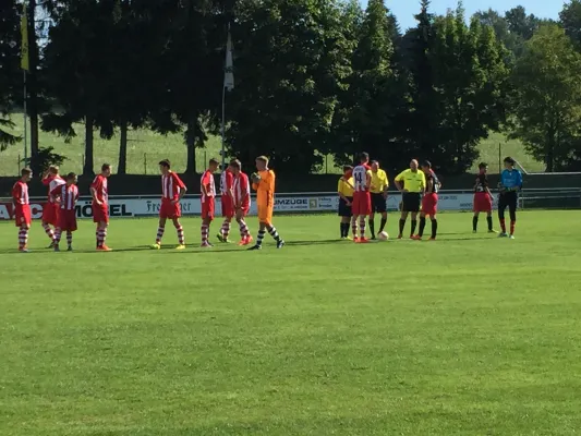 30.08.2015 Brand-Erbisdorf/Lang vs. 1. FC Pirna