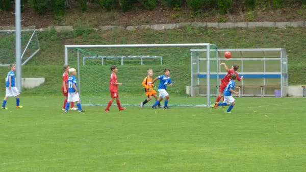 19.08.2017 FV Blau-Weiß Freital vs. 1. FC Pirna