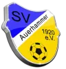 SV Auerhammer