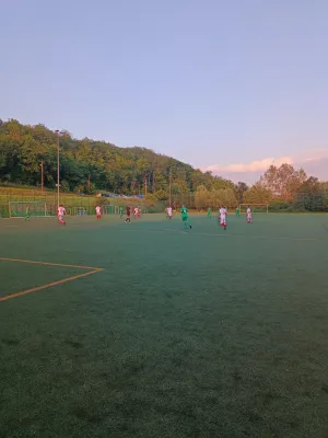 07.06.2024 SV Chemie Dohna AH vs. 1. FC Pirna AH