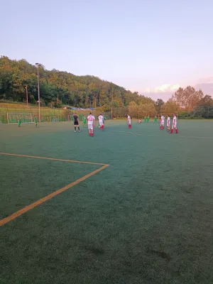 07.06.2024 SV Chemie Dohna AH vs. 1. FC Pirna AH