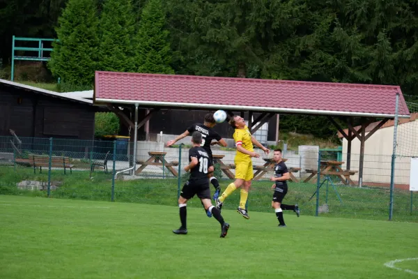 31.08.2024 BSV 68 Sebnitz vs. 1. FC Pirna