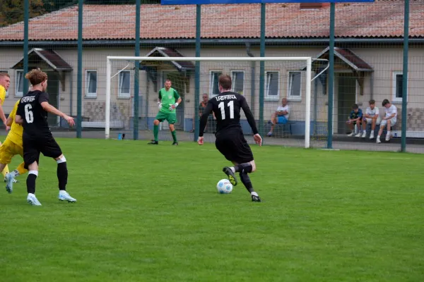 31.08.2024 BSV 68 Sebnitz vs. 1. FC Pirna