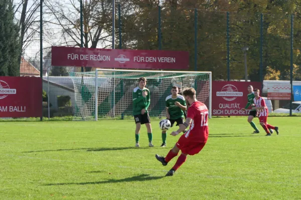 26.10.2024 SV Wesenitztal II vs. 1. FC Pirna II