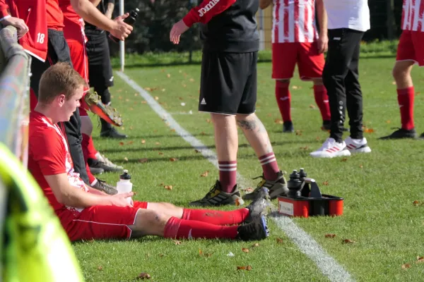 26.10.2024 SV Wesenitztal II vs. 1. FC Pirna II