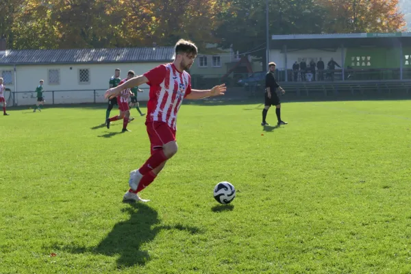 26.10.2024 SV Wesenitztal II vs. 1. FC Pirna II