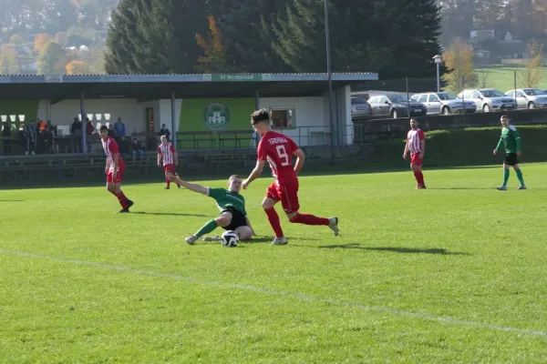 26.10.2024 SV Wesenitztal II vs. 1. FC Pirna II