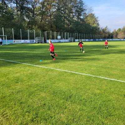 27.10.2024 SV Chemie Dohna vs. 1. FC Pirna