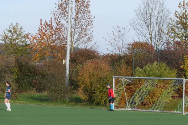 27.10.2024 1. FC Pirna vs. Höckendorfer FV