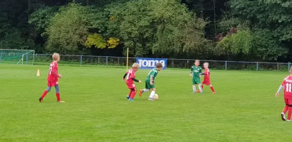 16.09.2017 1. FC Pirna II vs. SV Wesenitztal