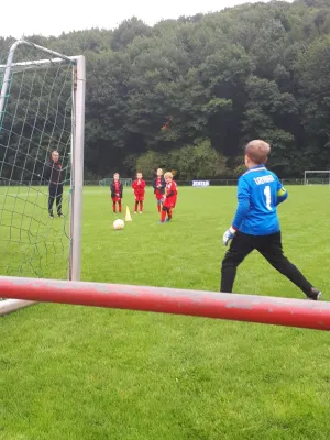 16.09.2017 1. FC Pirna II vs. SV Wesenitztal