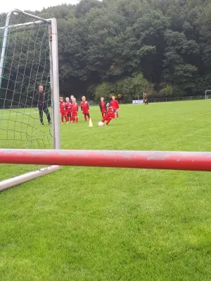 16.09.2017 1. FC Pirna II vs. SV Wesenitztal