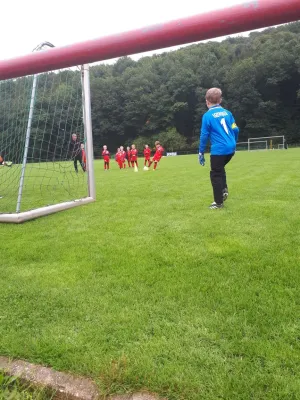 16.09.2017 1. FC Pirna II vs. SV Wesenitztal