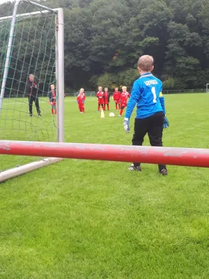 16.09.2017 1. FC Pirna II vs. SV Wesenitztal