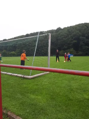 16.09.2017 1. FC Pirna II vs. SV Wesenitztal