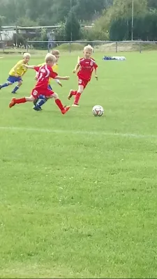 09.09.2017 1. FC Pirna II vs. SV Bannewitz II